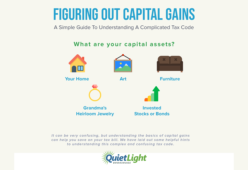 Infographic: examples of capital assets