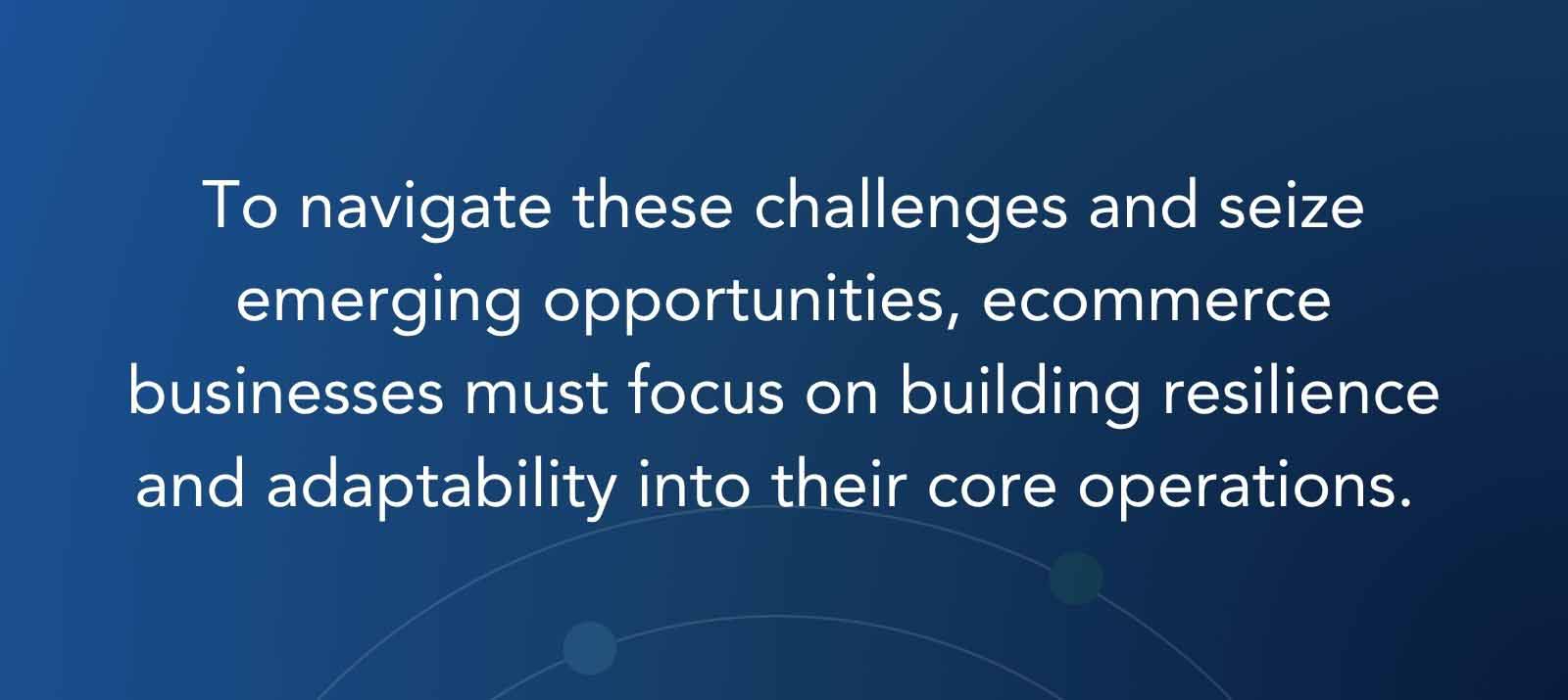 To navigate these challenges and seize emerging opportunities, ecommerce businesses must focus on building resilience and adaptability into their core operations